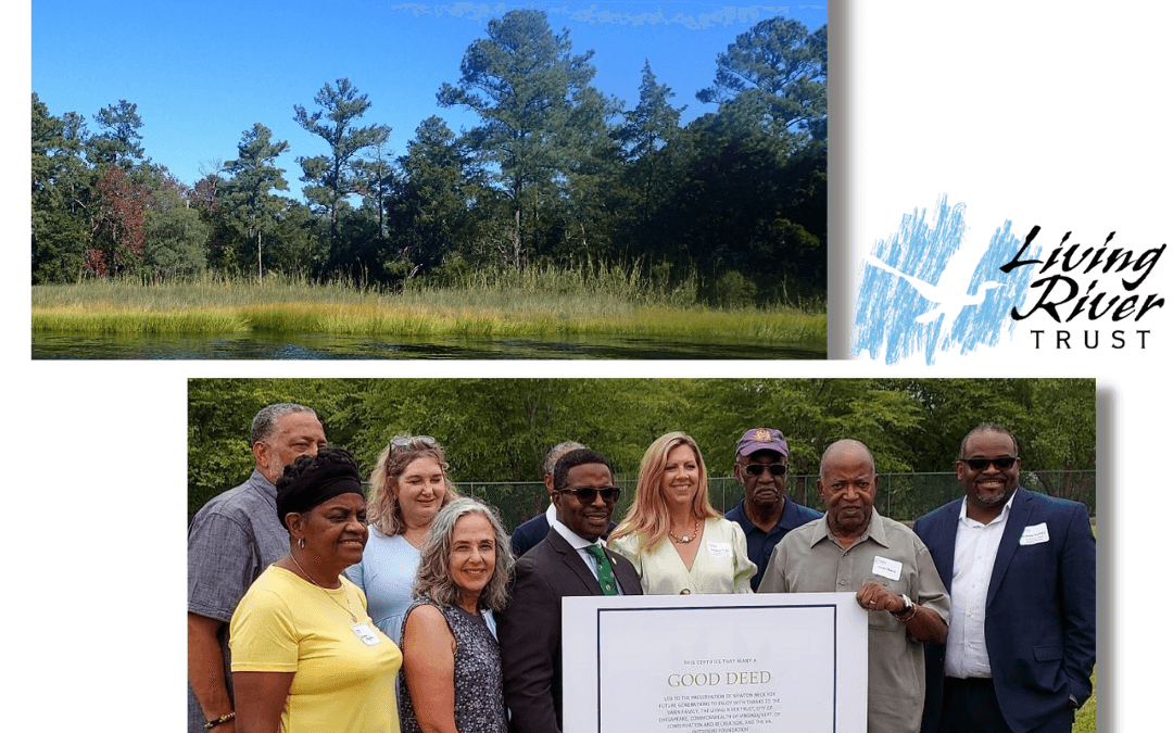 Community Support Victory: 88 Acres of Land Saved from Development in Chesapeake, VA